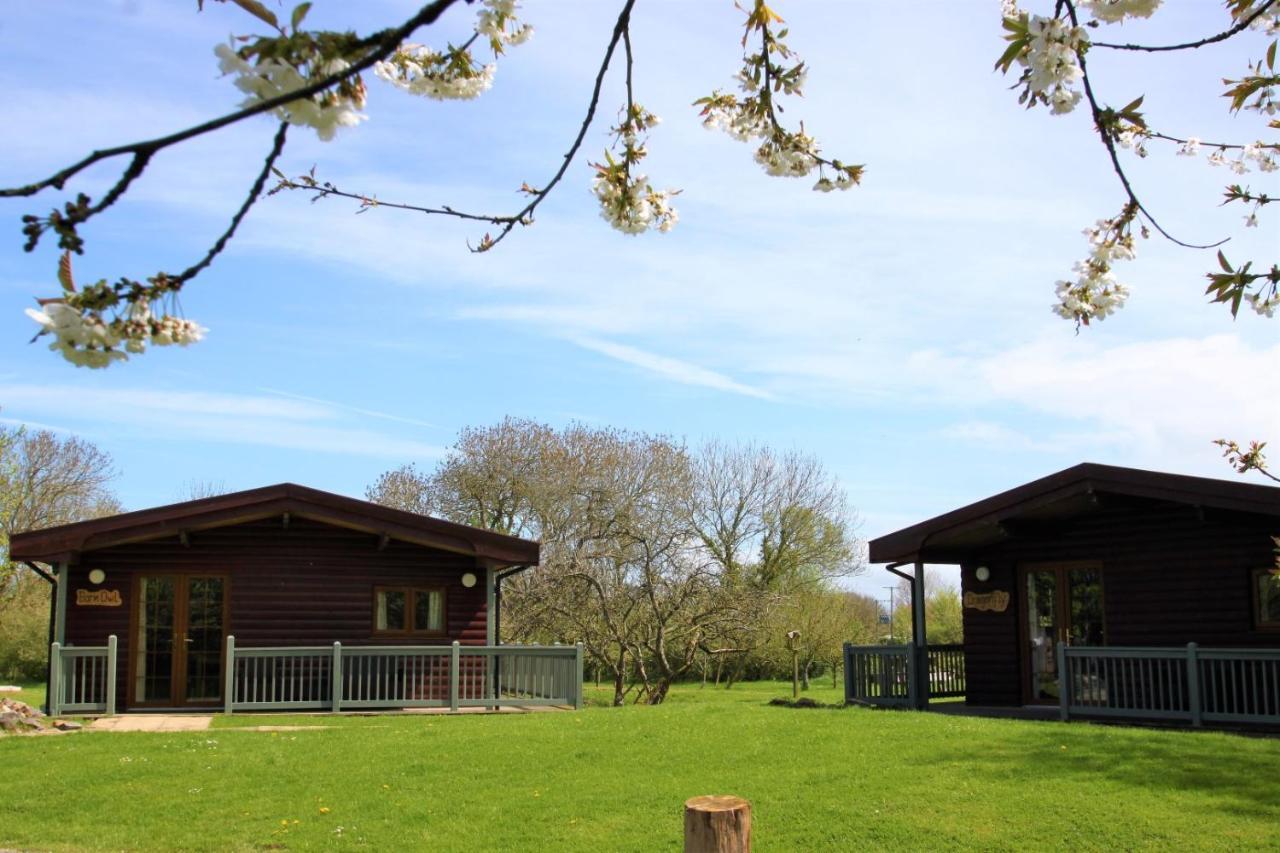Wall Eden Farm - Luxury Log Cabins And Glamping Highbridge Zewnętrze zdjęcie