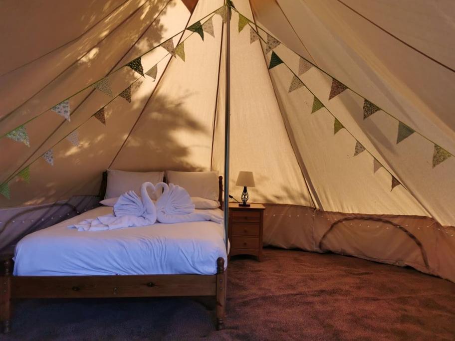 Wall Eden Farm - Luxury Log Cabins And Glamping Highbridge Zewnętrze zdjęcie
